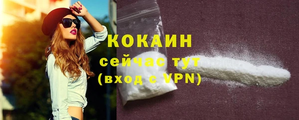 винт Горняк
