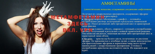 ГАЛЛЮЦИНОГЕННЫЕ ГРИБЫ Вязники