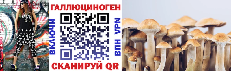 KRAKEN ONION  Зея  Псилоцибиновые грибы ЛСД 